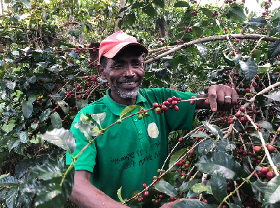 Social responsibility 